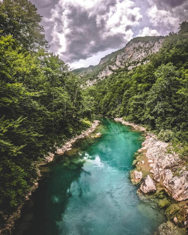 Lux Bungalow Žabljak Kültér fotó